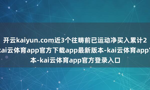 开云kaiyun.com近3个往畴前已运动净买入累计299.04万元-kai云体育app官方下载app最新版本-kai云体育app官方登录入口