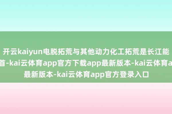 开云kaiyun电脱拓荒与其他动力化工拓荒是长江能科的主要收入开首-kai云体育app官方下载app最新版本-kai云体育app官方登录入口