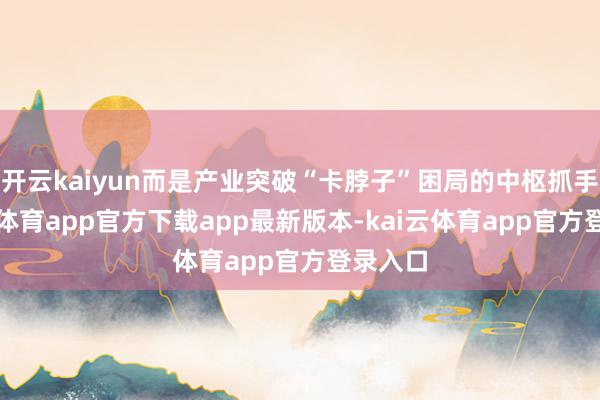 开云kaiyun而是产业突破“卡脖子”困局的中枢抓手-kai云体育app官方下载app最新版本-kai云体育app官方登录入口