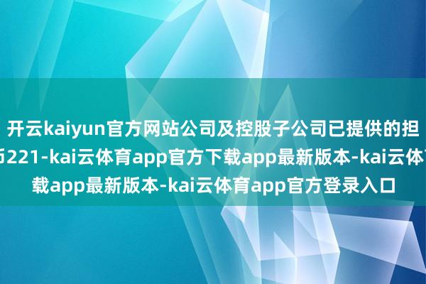开云kaiyun官方网站公司及控股子公司已提供的担保总数为东谈主民币221-kai云体育app官方下载app最新版本-kai云体育app官方登录入口